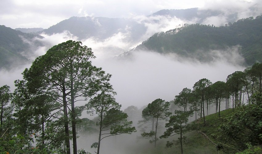 Best Time to Visit Araku